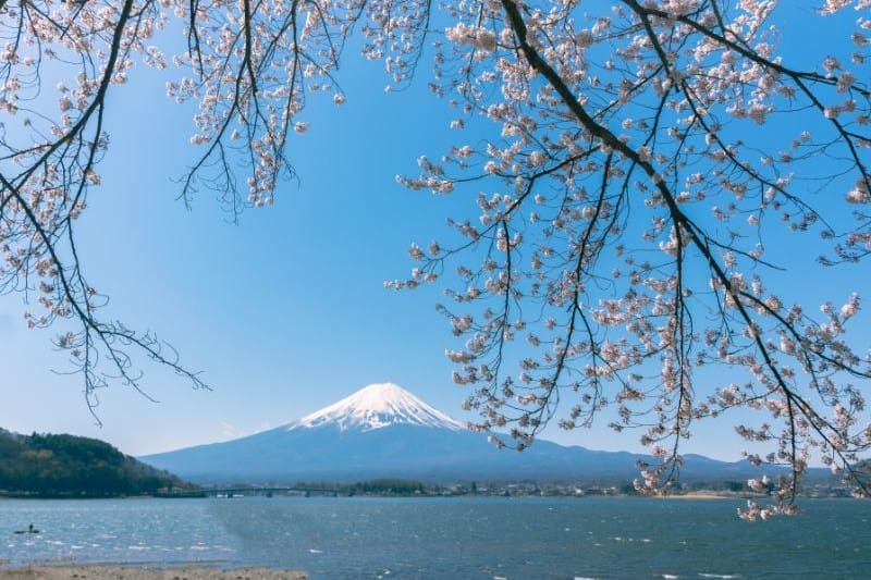apakah-gunung-fuji-bisa-didaki_large.jpg