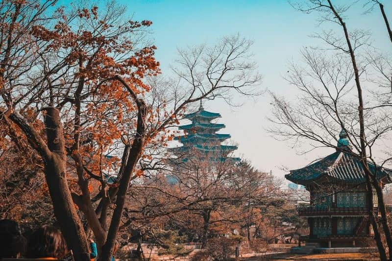 autumn-trip-to-korea_large.jpg