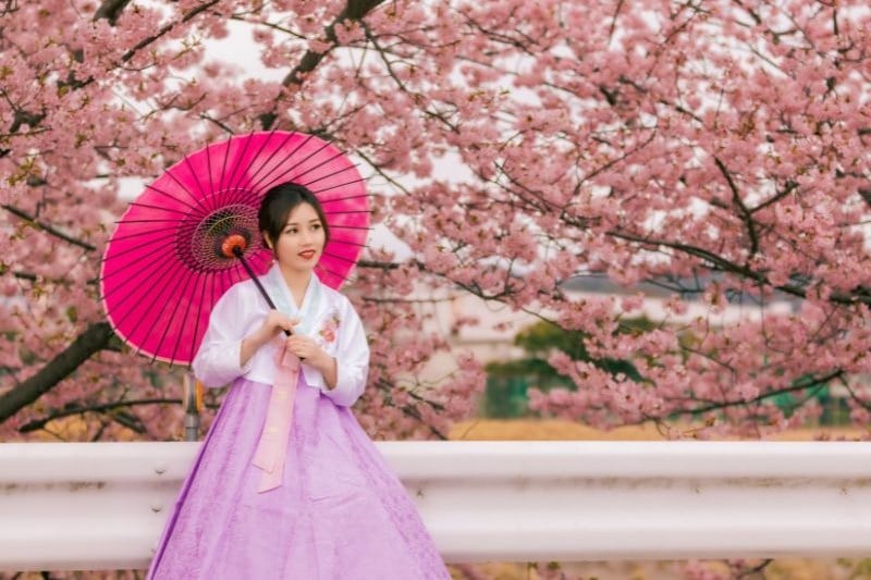 bulan-mei-di-jepang-musim-apa_large.jpg