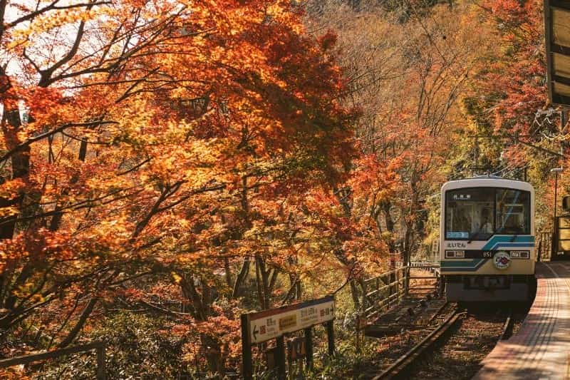 bulan-oktober-di-jepang-musim-apa_large.jpg
