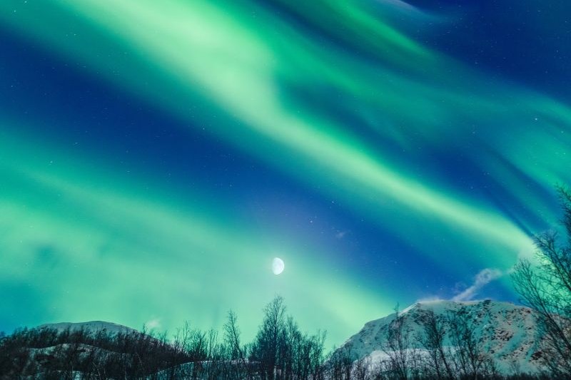 harbin-aurora-tour_large.jpg
