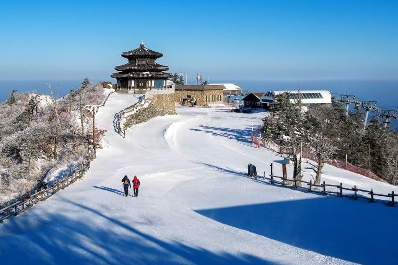 harbin-small-group-tour_large.jpg