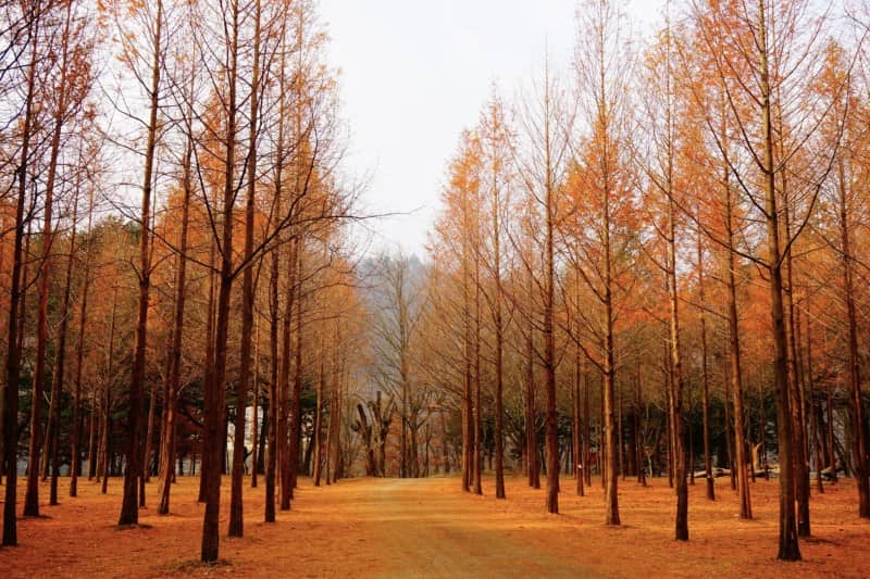 harga-paket-tour-korea-7-hari_large.jpg