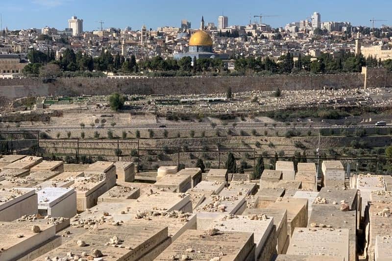 holy-land-dimana_large.jpg