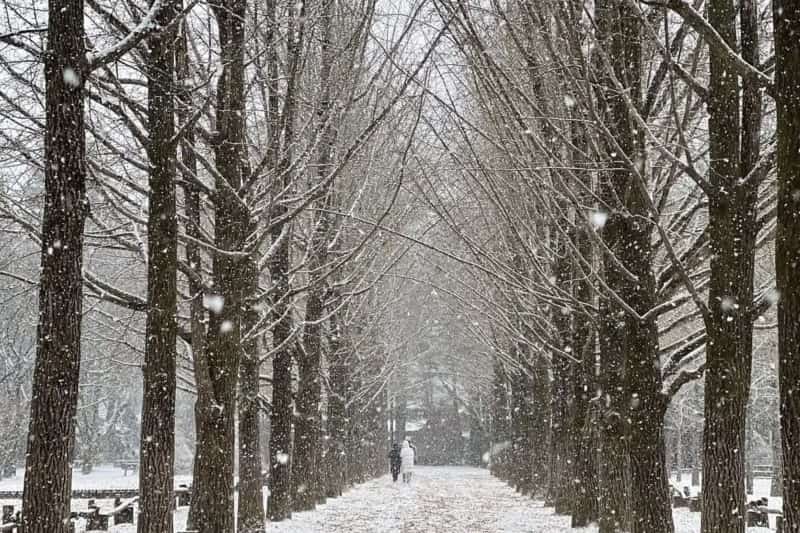itinerary-tour-korea-winter-2023-7-hari-6-malam_large.jpg