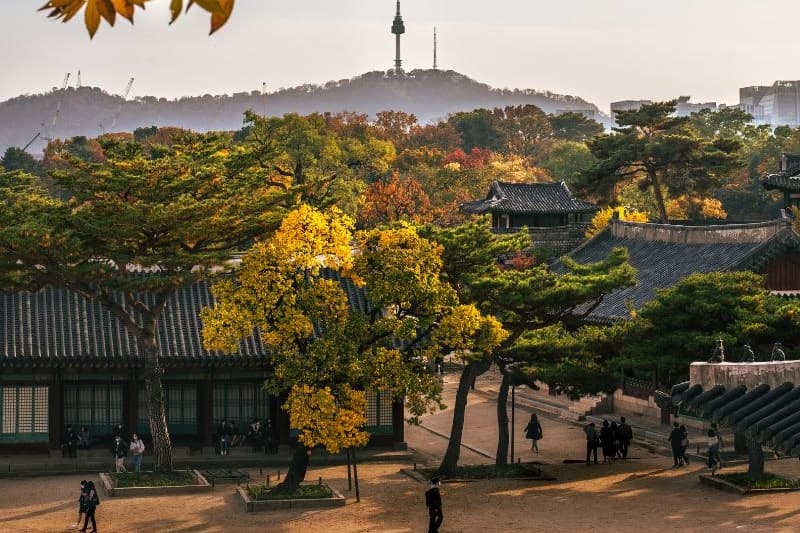 korea-tour-army_large.jpg