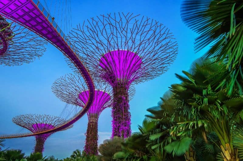 one-day-tour-singapore_large.jpg