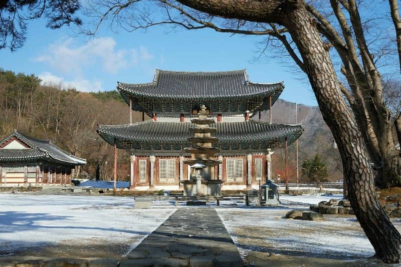 open-trip-korea_large.jpg