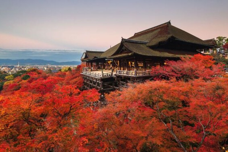 paket-tour-jepang-2026-musim-gugur_large.jpg