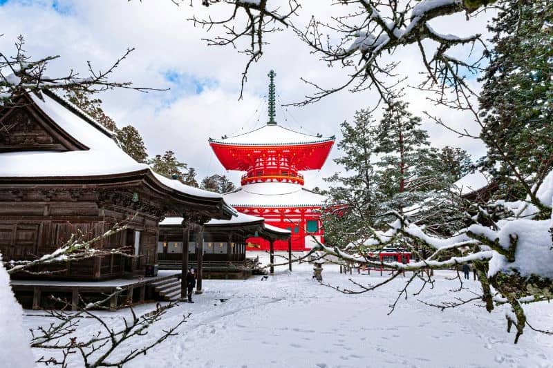 paket-tour-jepang-5-hari-4-malam_large.jpg