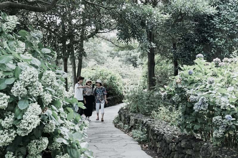 paket-tour-korea-2023-murah-all-in_large.jpg