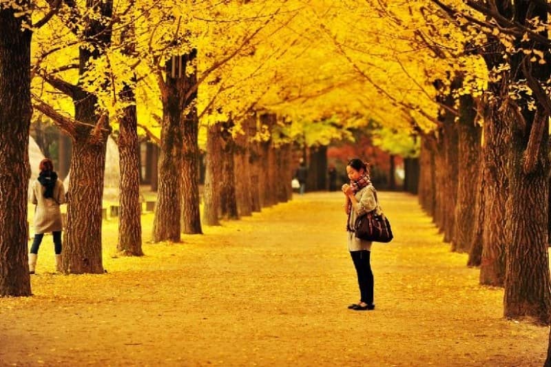 paket-tour-korea-2024_large.JPG