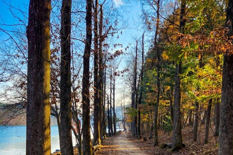 paket-tour-korea-autumn-foliage-nami-island_large.jpg
