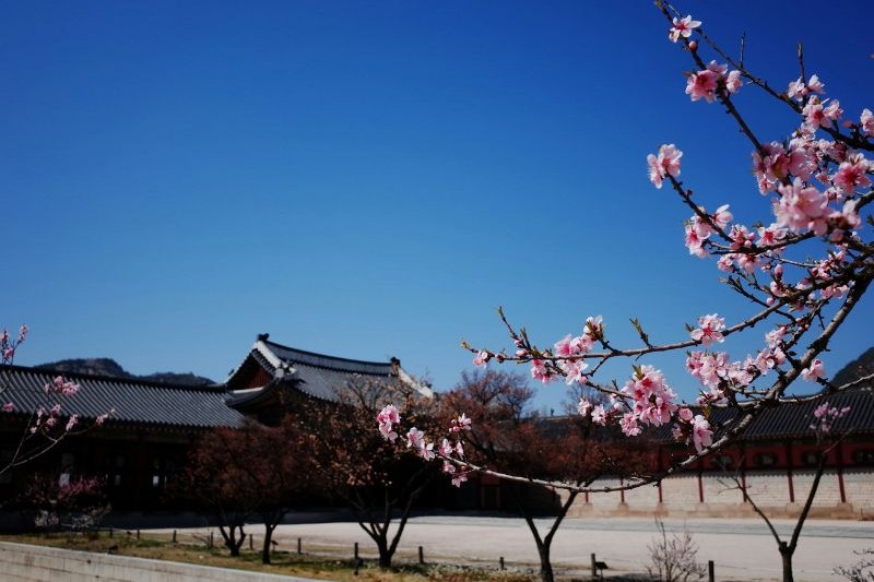 paket-tour-korea-gyeongbokgung_large.jpg