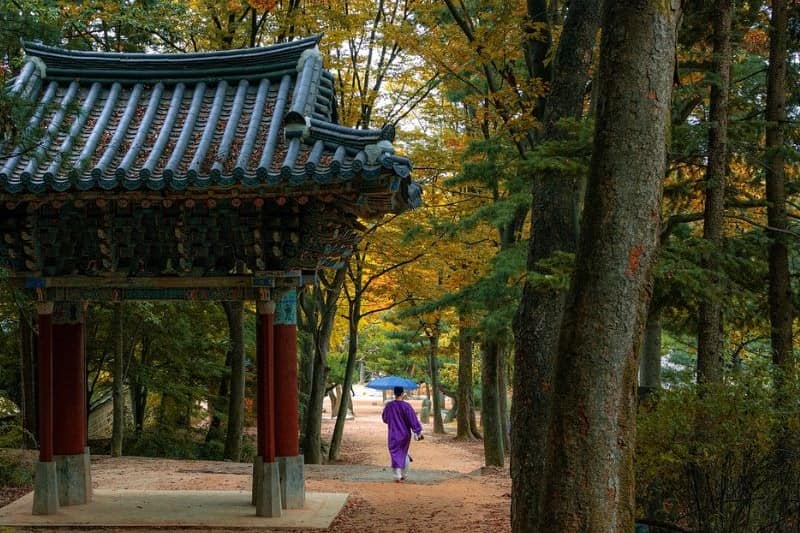 paket-tour-korea-lokasi-syuting-drama_large.jpg