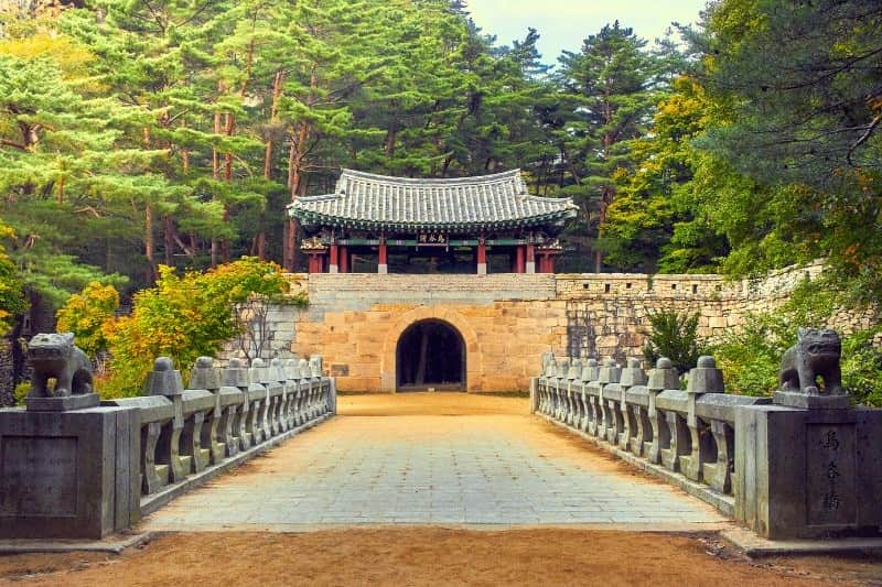 paket-tour-korea-musim-panas-2025_large.jpg