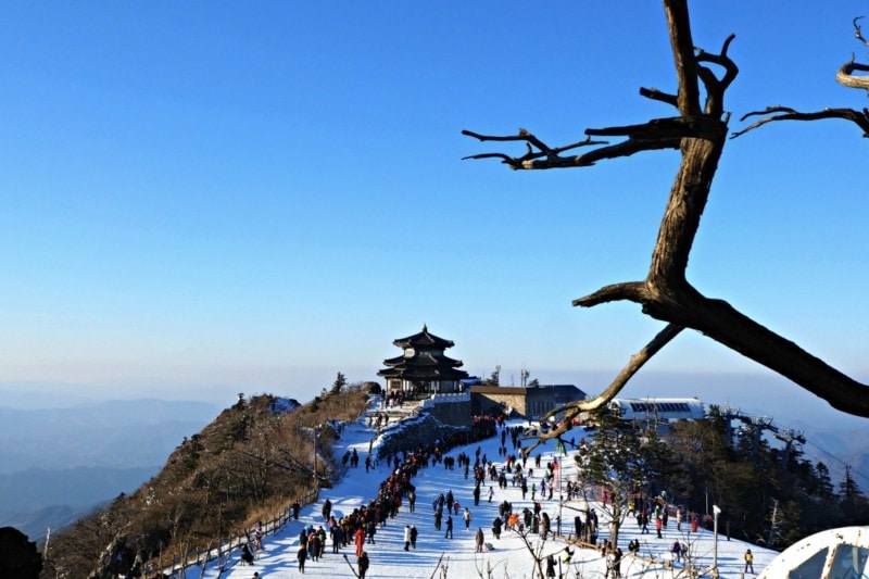 paket-tour-korea-selatan-2023_large.jpg