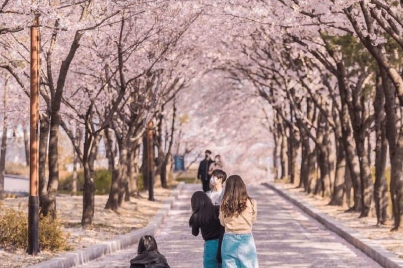 paket-tour-korea_large.JPG