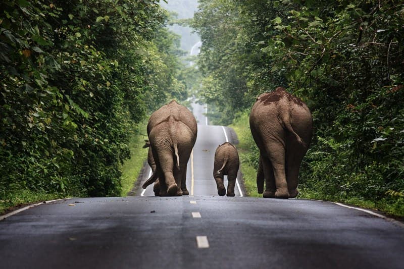 paket-tour-thailand-2023_large.jpg