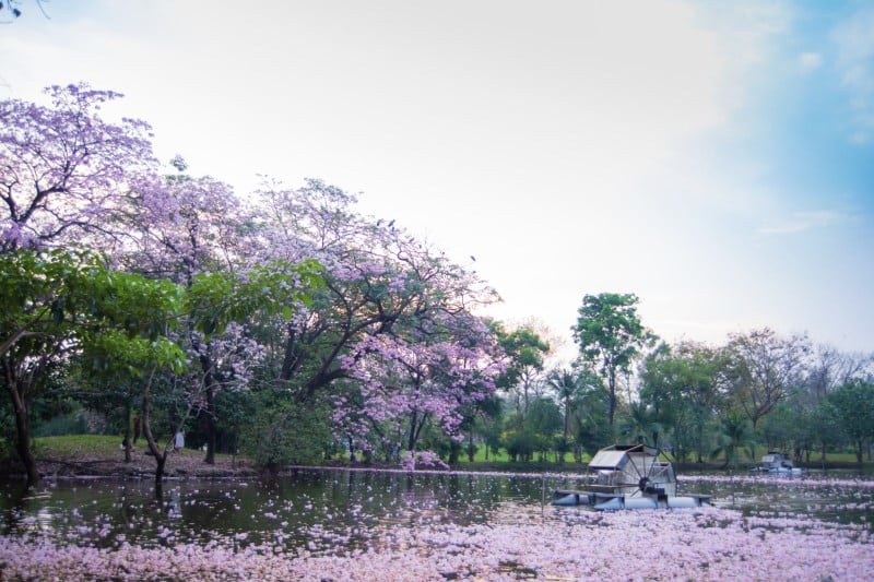 paket-wisata-bangkok_large.jpg