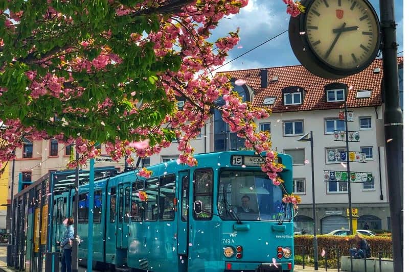 paket-wisata-eropa-spring-season_large.jpg