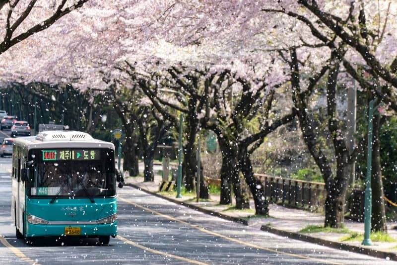 paket-wisata-korea-selatan-2024_large.jpg