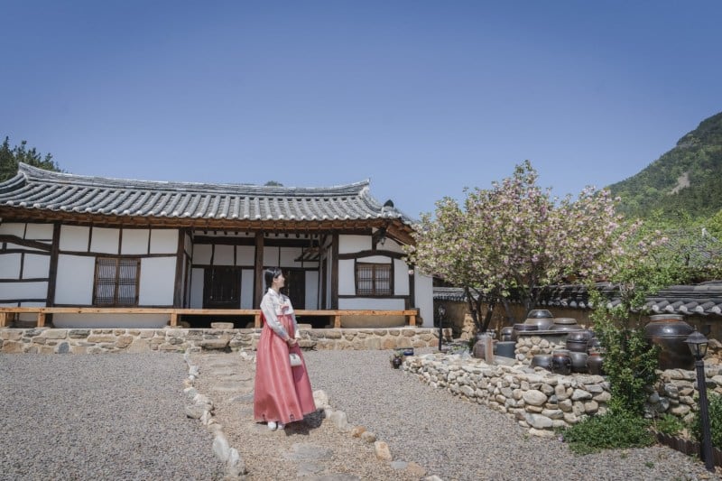 paket-wisata-korea_large.jpg