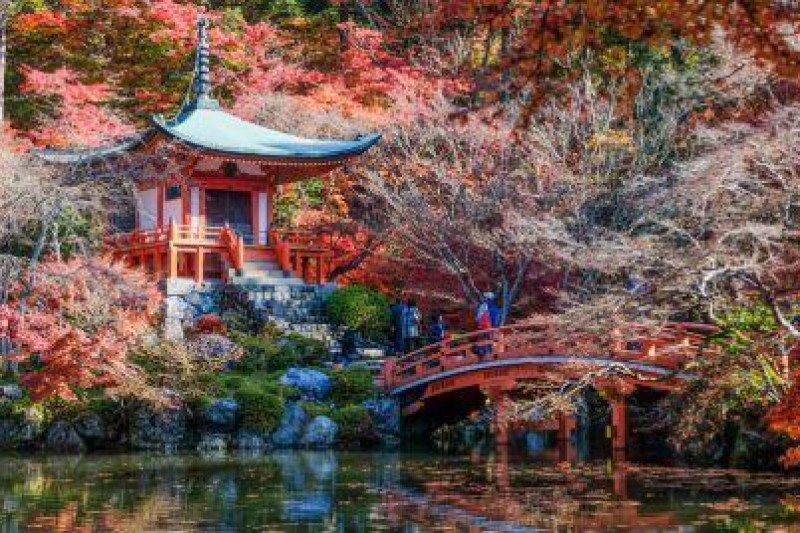 panduan-lengkap-biaya-cara-pilih-paket-tour-jepang-2026_large.jpg