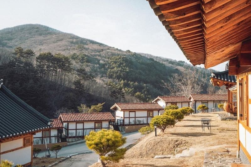 sauna-korea-2025_large.jpg