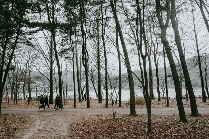 tempat-camping-di-korea-selatan_large.jpg