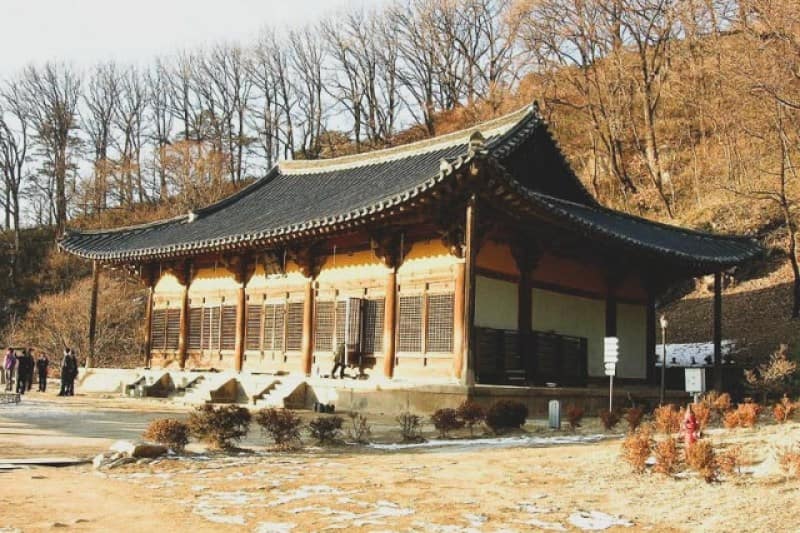 tempat-tempat-wisata-di-korea-selatan_large.jpg