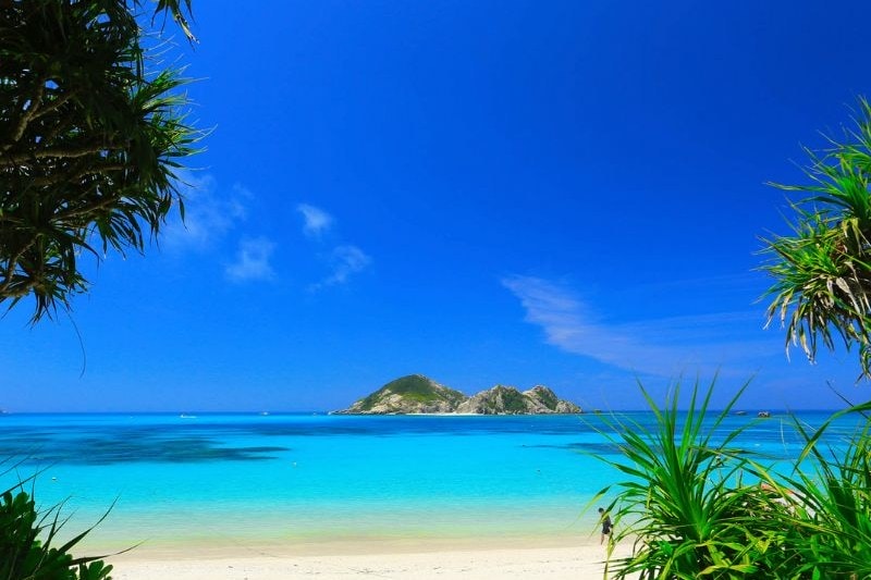 tempat-wisata-alam-di-jepang_large.jpg