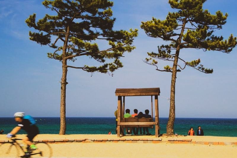 tempat-wisata-korea-musim-panas_large.jpg