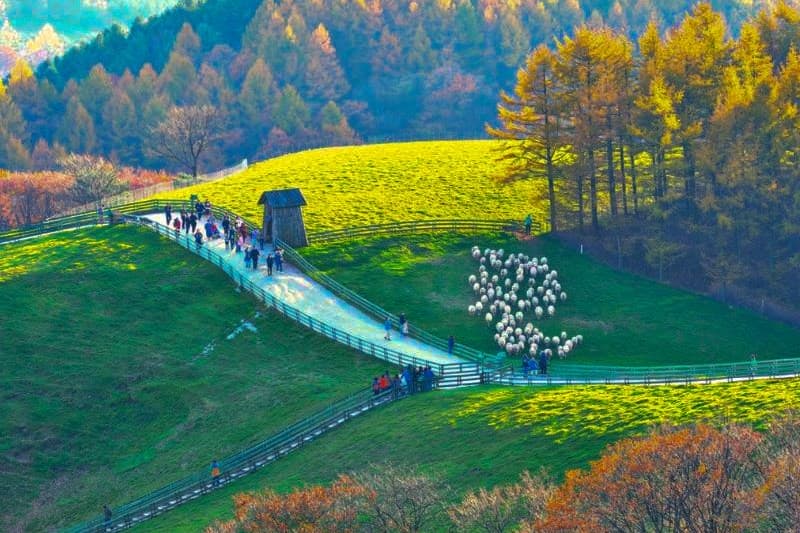 tempat-wisata-musim-gugur-di-korea_large.jpg