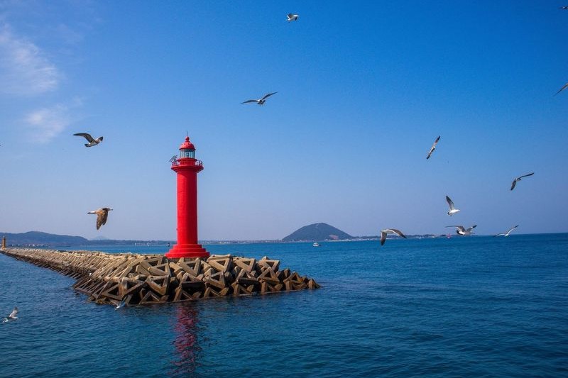 tour-jeju-island-tour-lengkap-2025_large.jpg