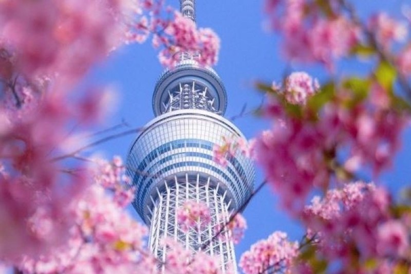 tour-jepang-2024_large.JPG