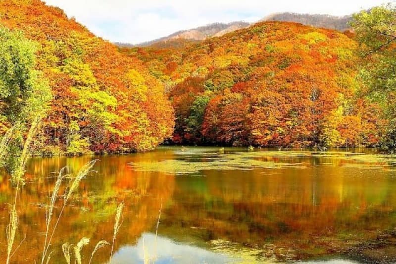tour-jepang-dan-10-keindahan-alam-jepang-yang-begitu-mengagumkan-dan-mempesona_large.jpg