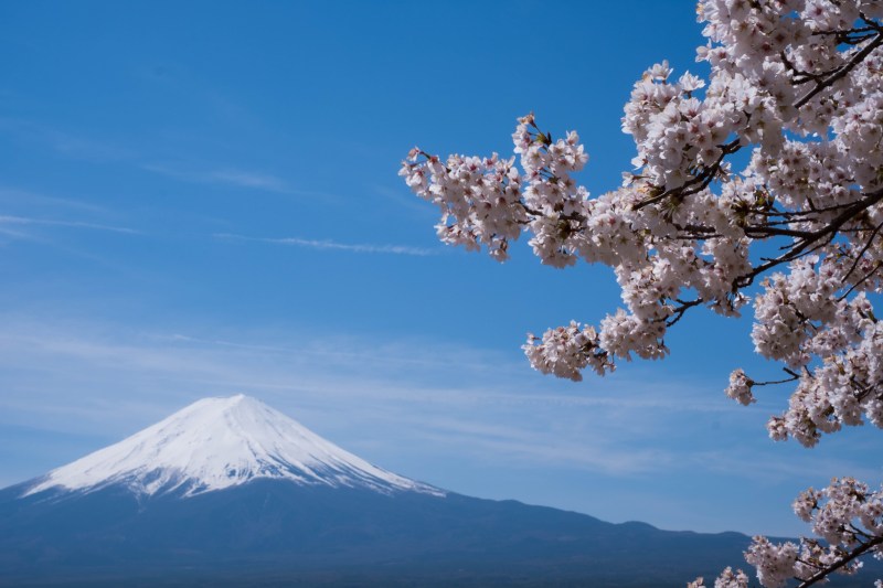 tour-ke-jepang-yang-murah_large.jpg
