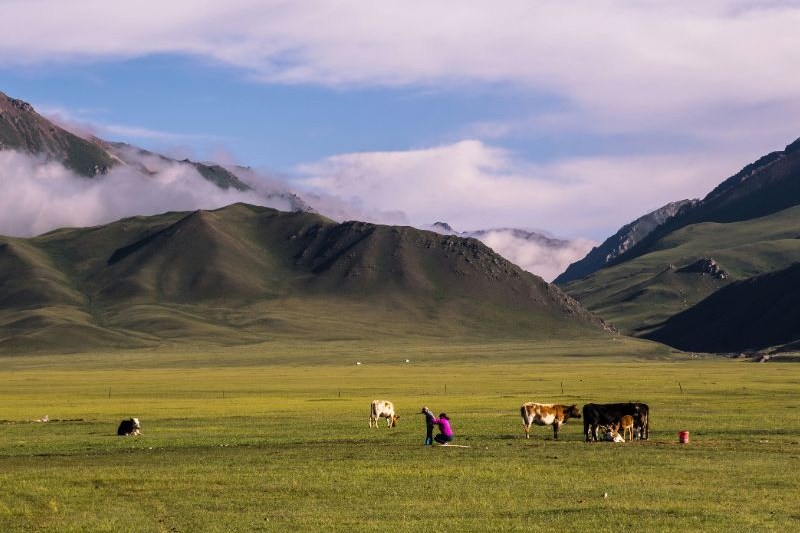 tour-ke-xinjiang-china_large.jpg