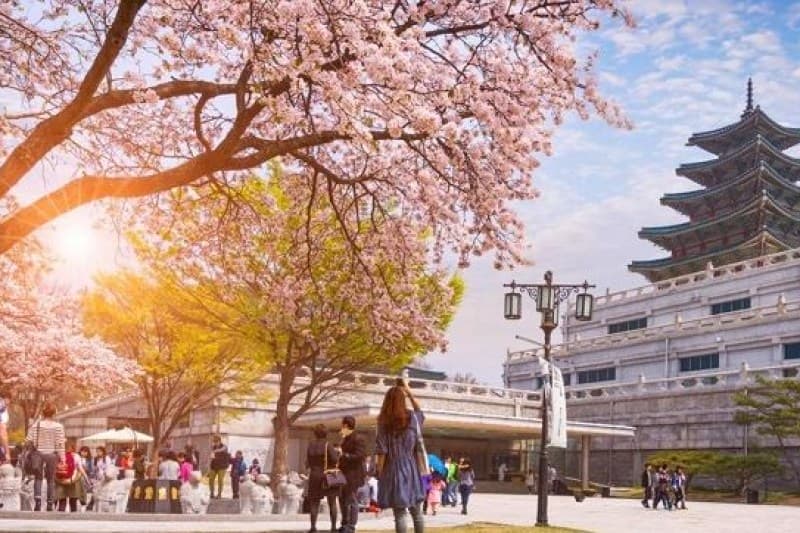 tour-korea-2023_large.JPG