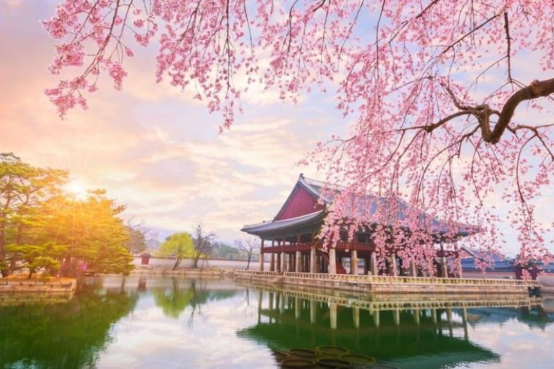 tour-korea-2024_large.JPG