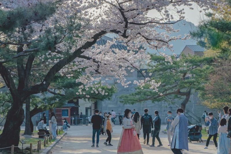 tour-korea-hidden-gems_large.jpg