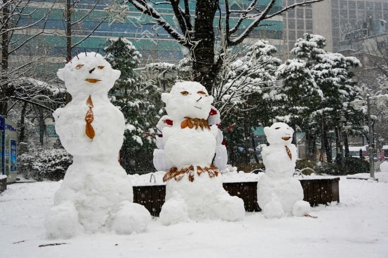 tour-korea-musim-dingin-bucket-list-2025_large.jpg