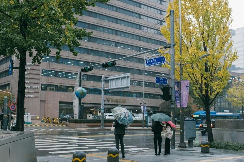 tour-korea-promo_large.jpg