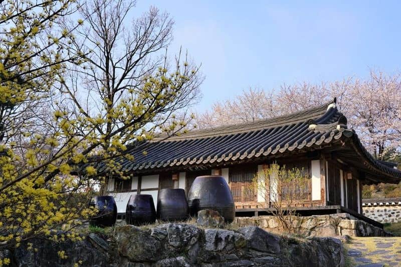 tour-korea-selatan-highlights_large.jpg