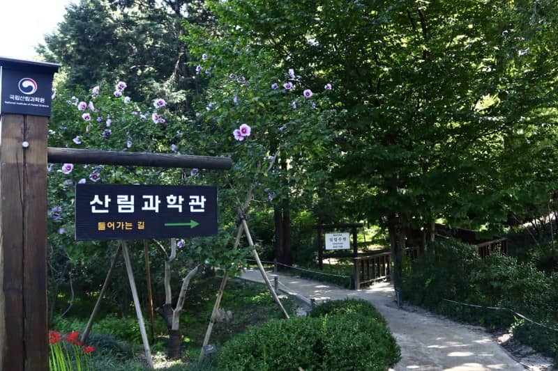trip-ke-korea-blog_large.jpg