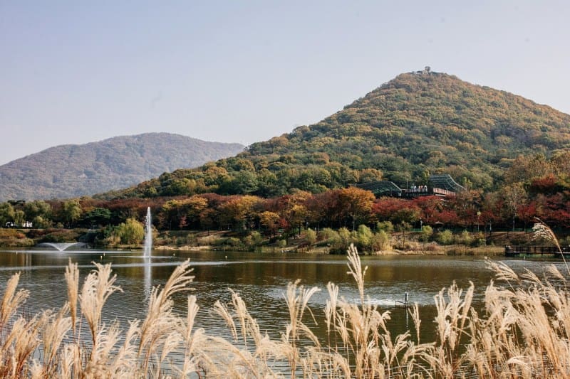 trip-ke-korea-selatan_large.jpg