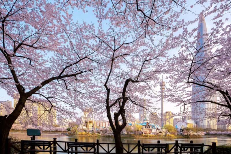 trip-ke-korea-sendiri_large.jpg