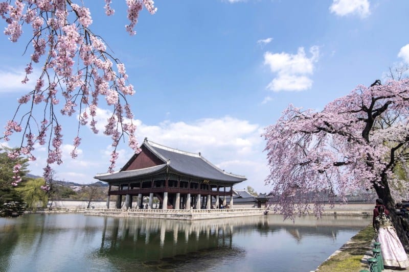 trip-ke-korea_large.jpg