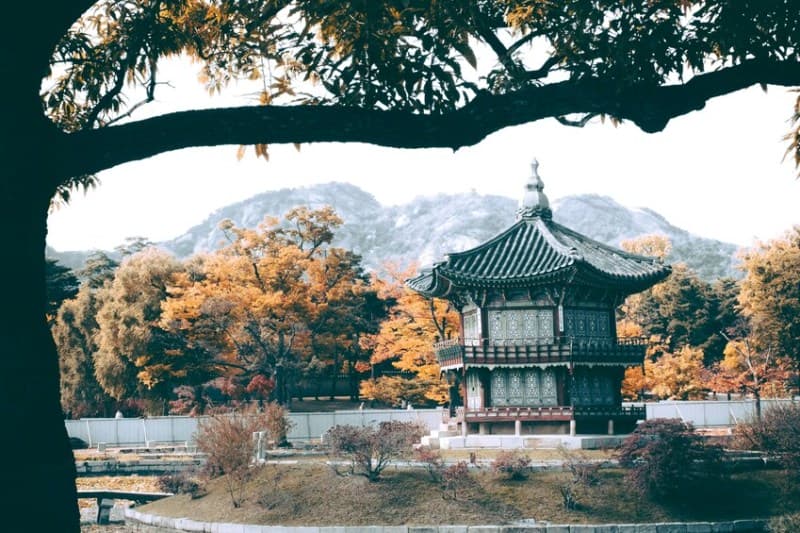 trip-korea-2024_large.jpg